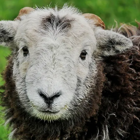 Elterwater Hostel Hostel Elterwater