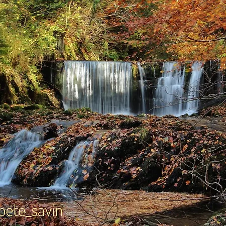 旅馆 艾尔特沃特旅馆