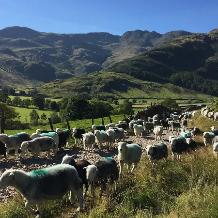 Hostal Elterwater Hostel *