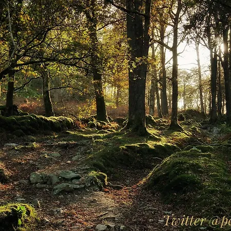 旅馆 艾尔特沃特旅馆 艾尔特湖