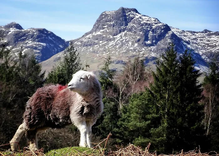 Elterwater Hostel Elterwater
