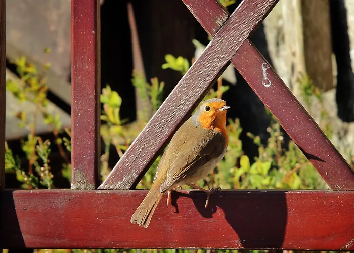 Auberge de jeunesse Elterwater Hostel