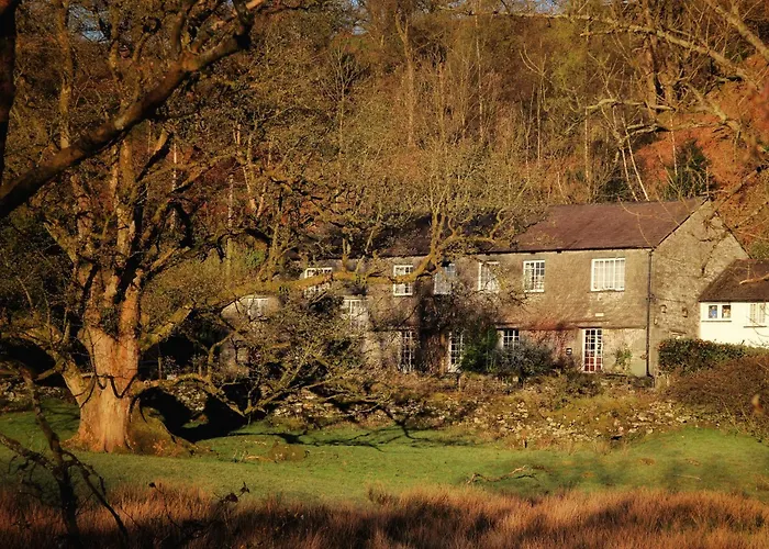 بيت شباب شباب