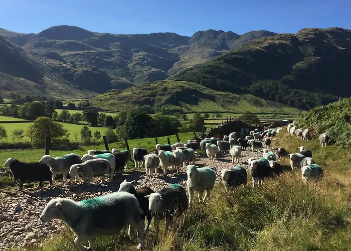 بيت شباب شباب *