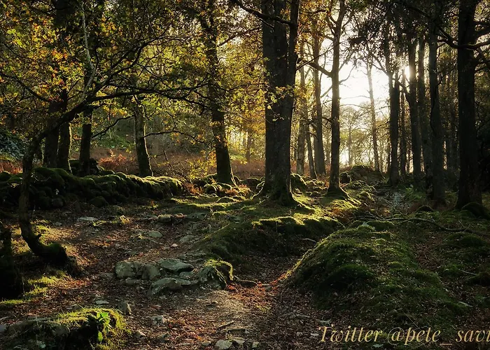 Auberge de jeunesse Elterwater Hostel Elterwater