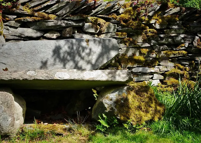 شباب * إلتيرووتر