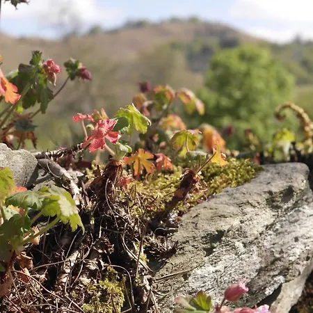 엘터워터 호스텔 *