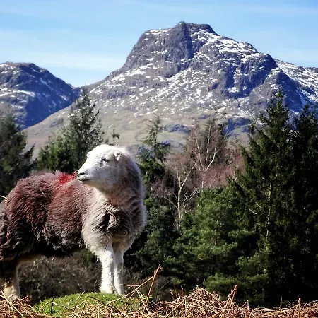 엘터워터 호스텔 엘터워터