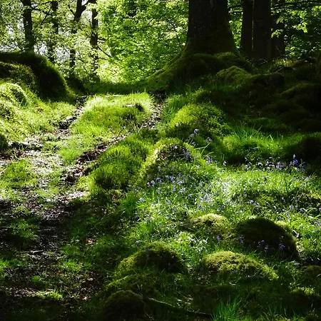 엘터워터 호스텔 *