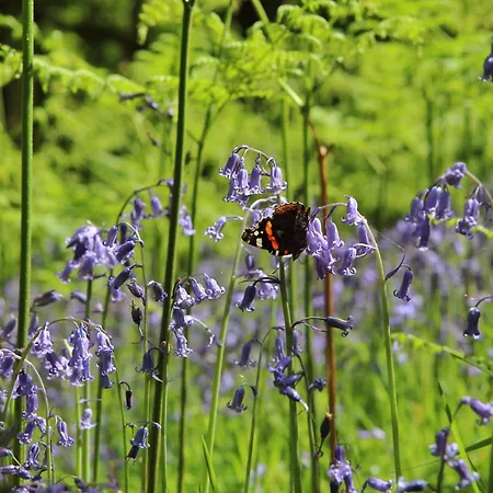 엘터워터 호스텔 엘터워터